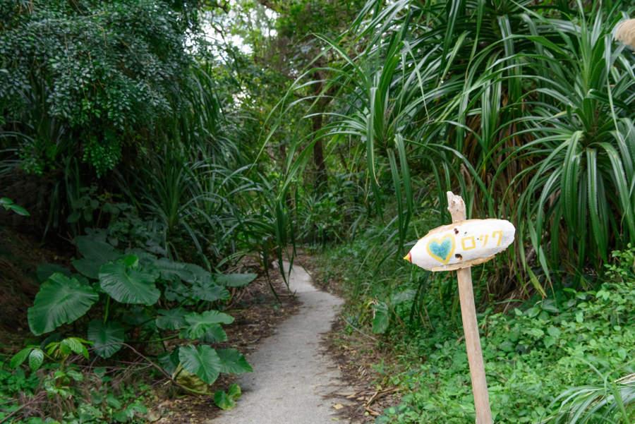 ハブに気を付けながら小道を突き進みます