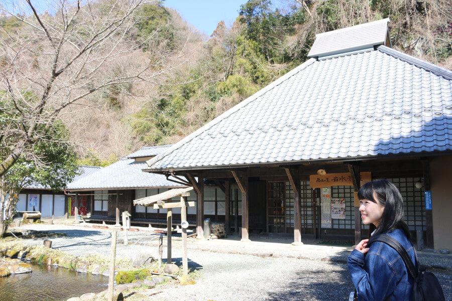 再び林道を下り、山道を抜けた先にあるのが「豊の国名水100選」に選ばれた「白水の滝」。手前にある「名水茶屋」の無料駐車場に車を停めましょう