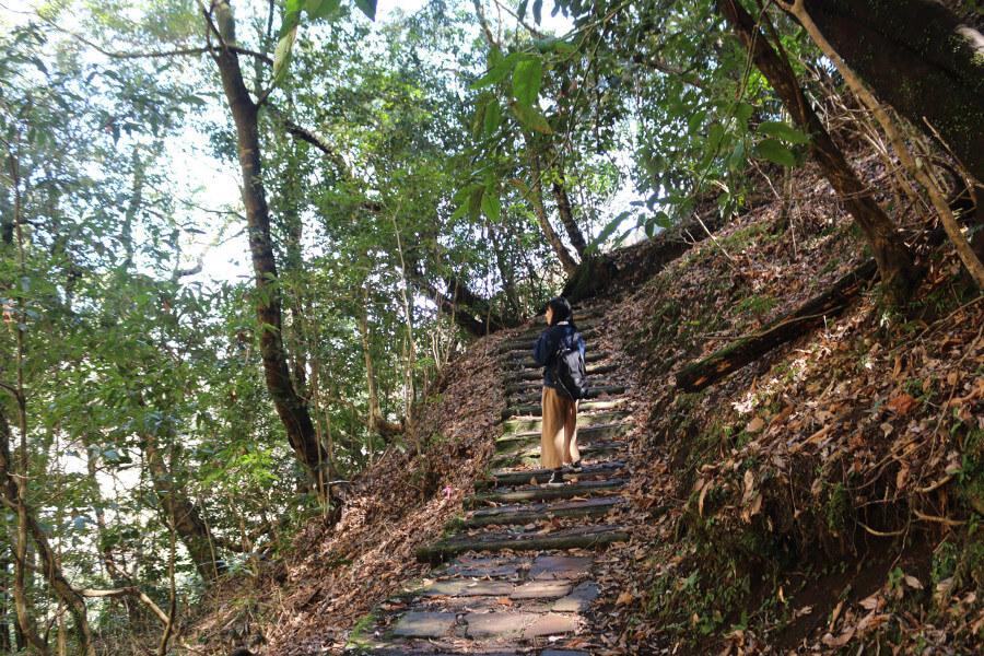 「白水の滝」までは整備された遊歩道を通って向かいます。途中には分起爆となる「母滝」をはじめ小さな滝がいくつかあります