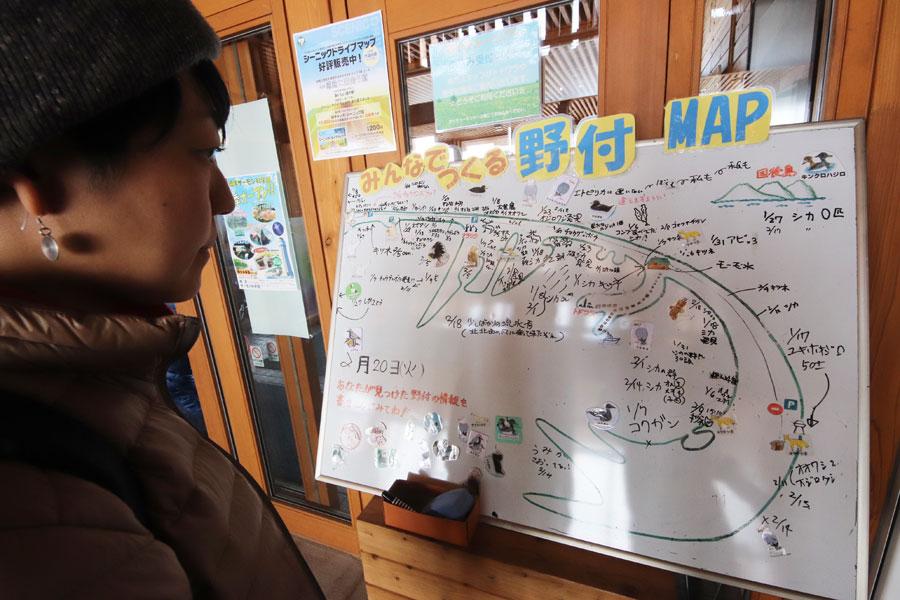 野付半島　真冬の氷平線を歩く5-2