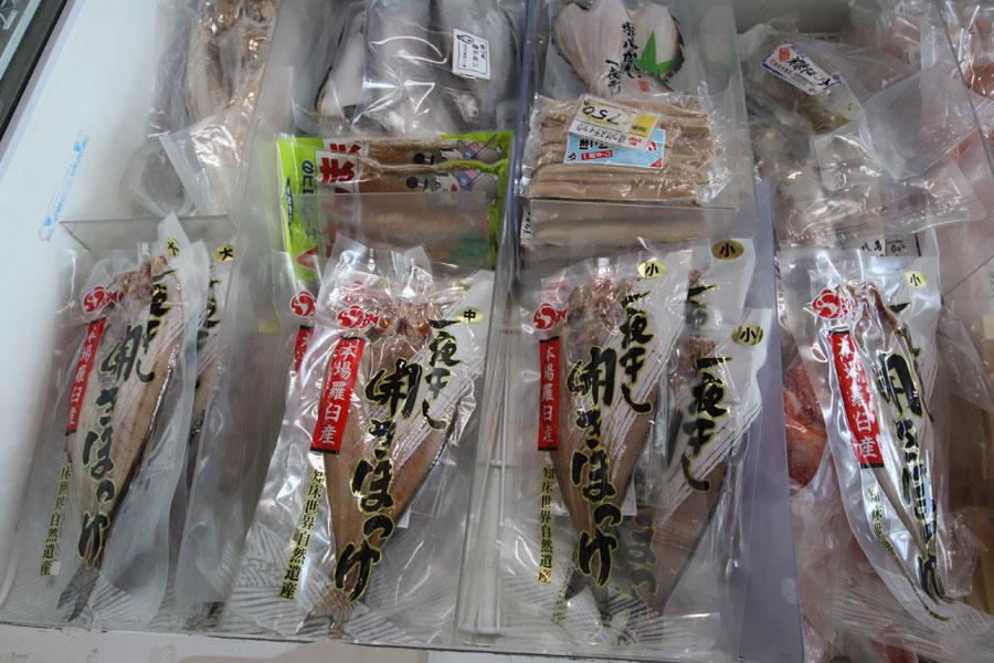 羅臼　厳冬の海を訪れる空の王者を探して4-2
