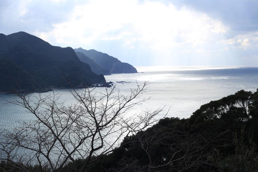 市街地と山々、天草西海岸が同時に見渡せます。サンセットの美しさは1枚の絵画のよう