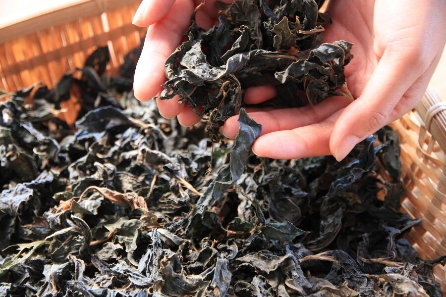 刈水庵からすぐのところにある「アイアカネ工房」では、庭で育てた藍や、工房周辺の豊かな自然から採取した植物で草木染体験ができます。ハンカチやストールなど、旅の記念にオリジナルのアイテム作りに挑戦してみてはいかがでしょう