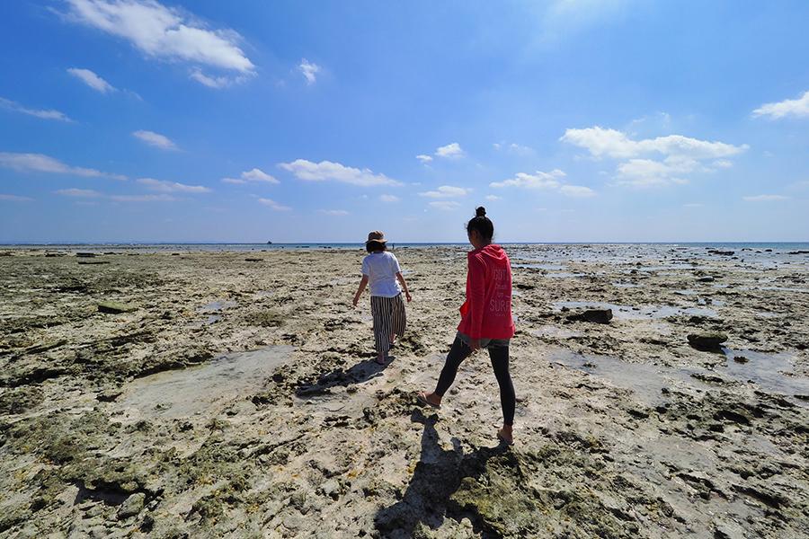 オーシャンビューカフェでランチの後は、のんびり海辺を散策
