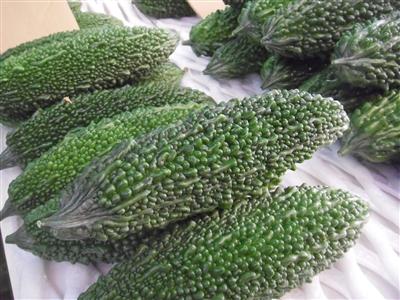 沖縄５月の旬のもの