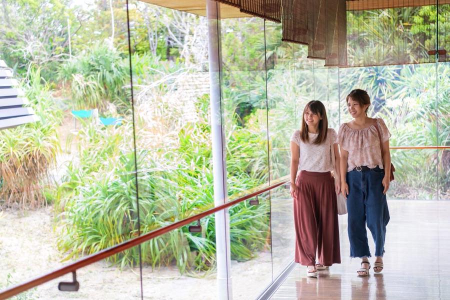 ガラス張りの窓から明るい光が差し込む館内。室内からも奄美の自然を感じられます