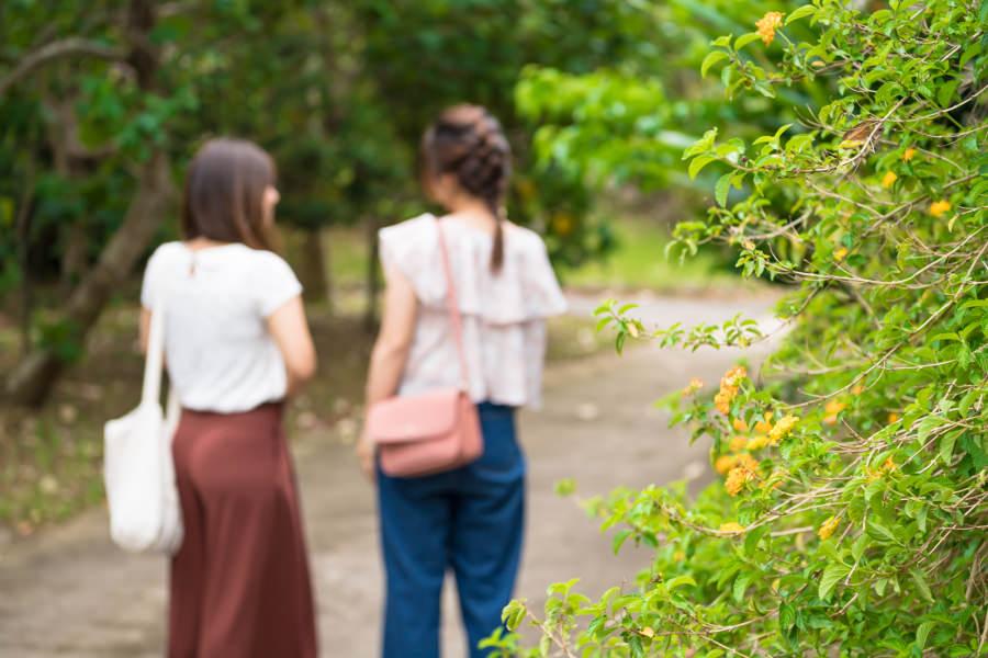 園内には田中一村の世界観を表現した「一村の杜」があります。彼が描いたガジュマルの木やソテツ、ダチュラなども鑑賞できますよ
