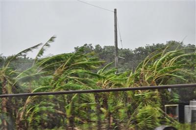 沖縄8月の旬のもの