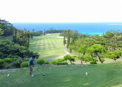 沖縄10月の旬のもの