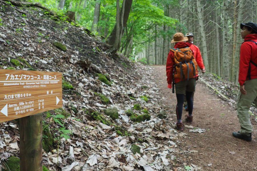 洞爺湖巨木ツアー3-3