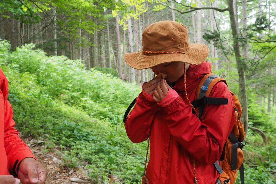 洞爺湖巨木ツアー4-4