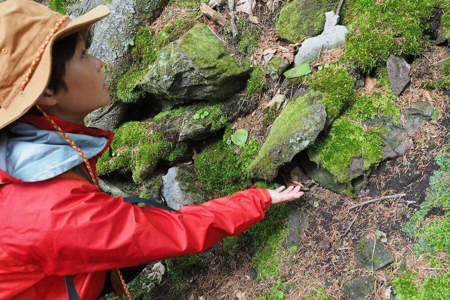 洞爺湖巨木ツアー5-2