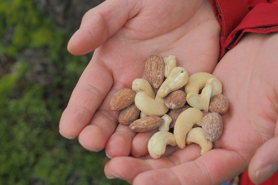 洞爺湖巨木ツアー5-3