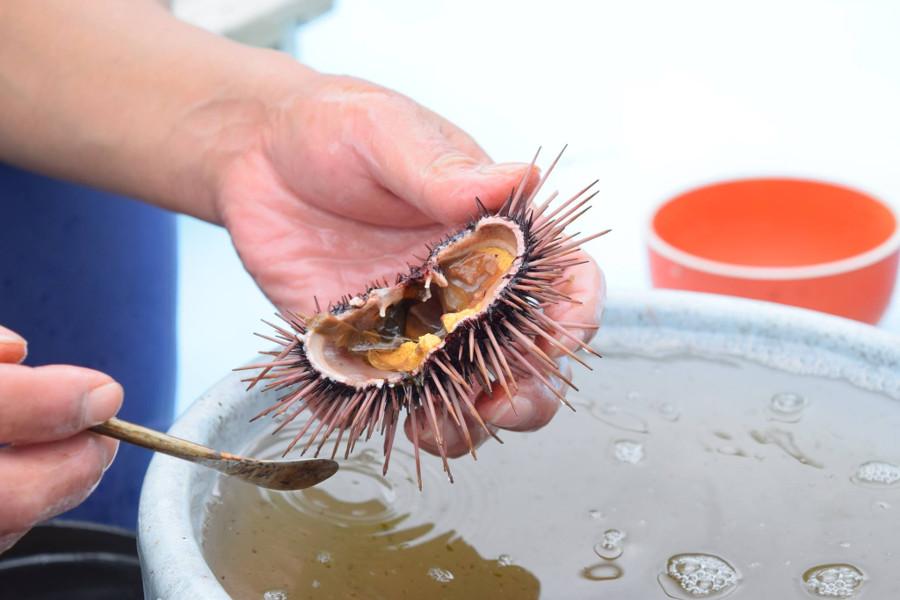 天草近海で採れたウニ。熟練の職人が1つ1つ丁寧に作っています