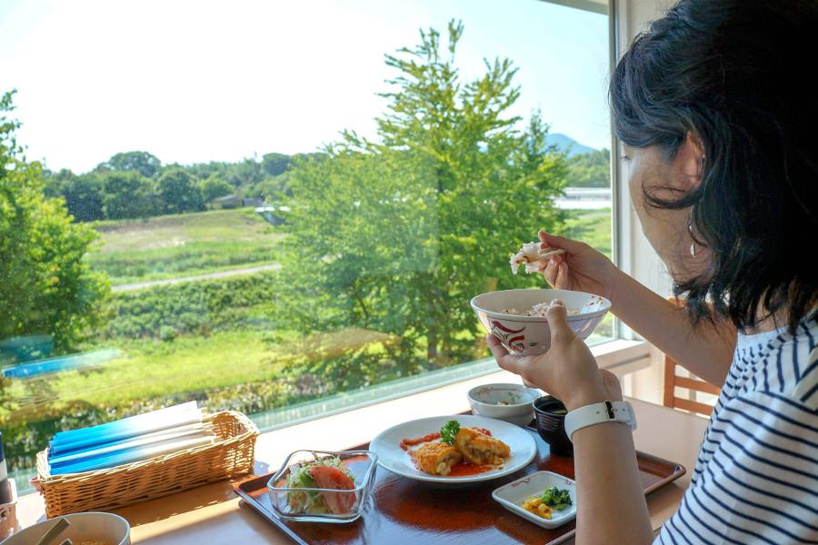 園内を見渡せる店内 園内を見渡せる店内