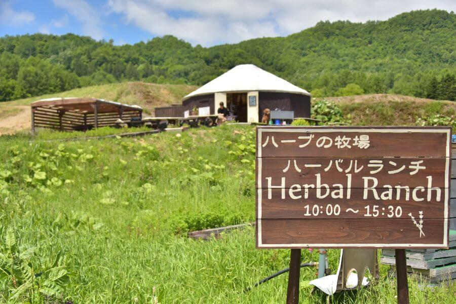 洞爺湖ハーバルランチ1