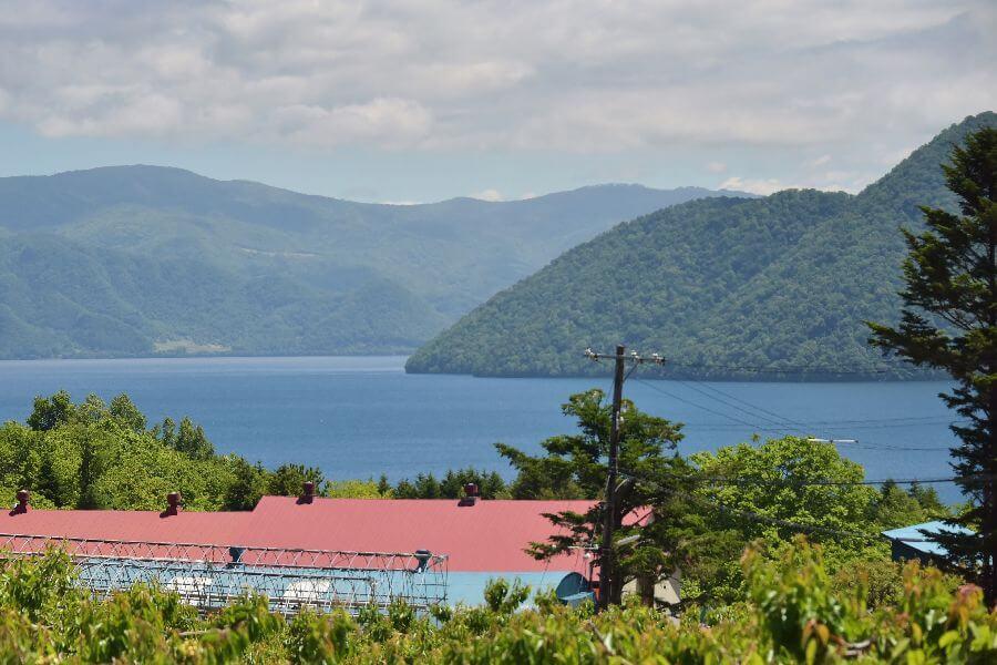 洞爺湖ハーバルランチ2