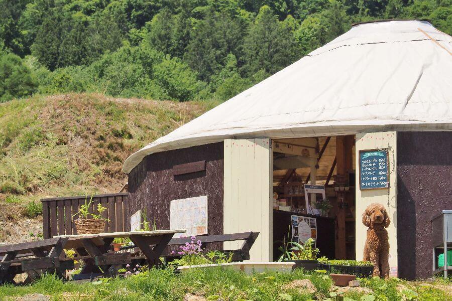 洞爺湖ハーバルランチ3