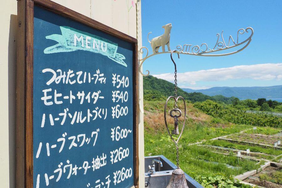 洞爺湖ハーバルランチ4