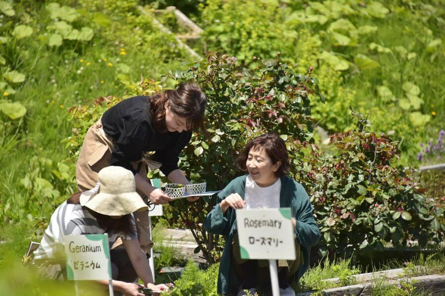 洞爺湖ハーバルランチ5