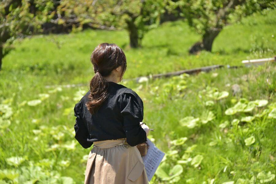 洞爺湖ハーバルランチ7