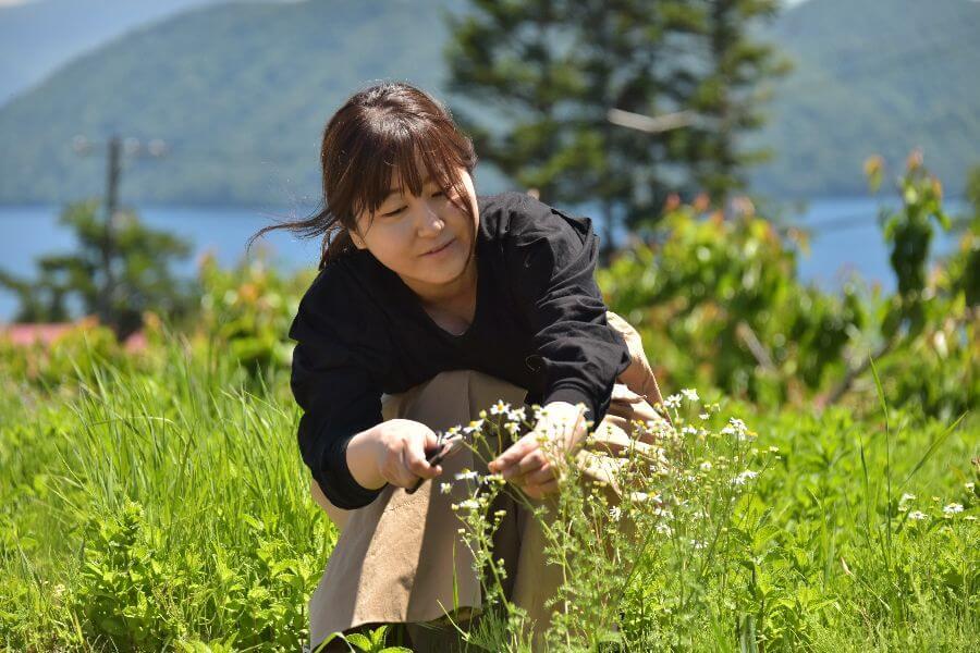 洞爺湖ハーバルランチ8