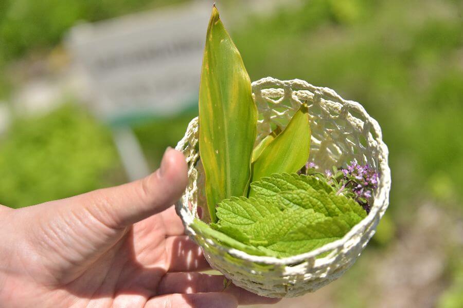 洞爺湖ハーバルランチ9