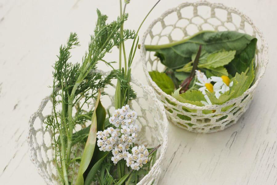 洞爺湖ハーバルランチ9