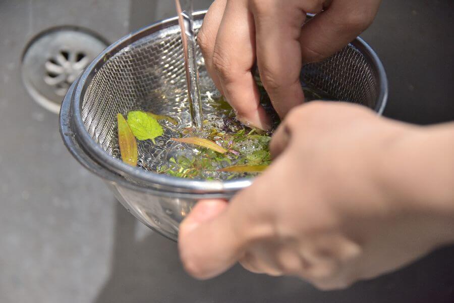 洞爺湖ハーバルランチ12