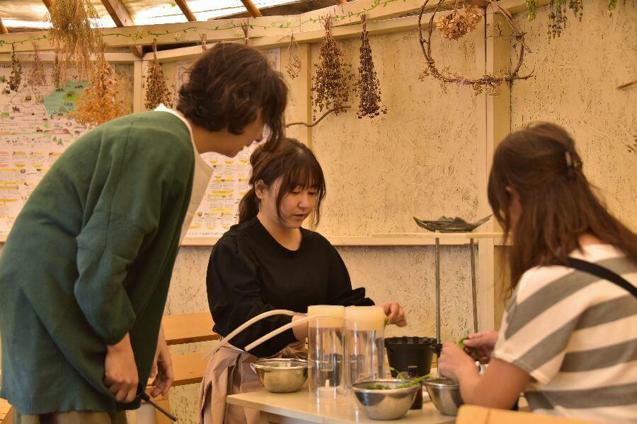 洞爺湖ハーバルランチ13