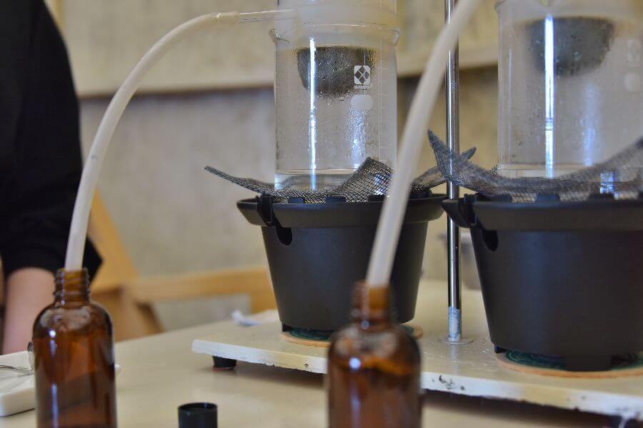 洞爺湖ハーバルランチ12