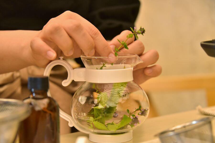 洞爺湖ハーバルランチ14