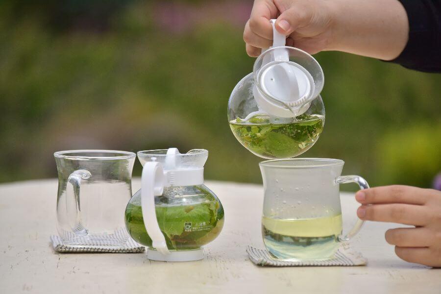 洞爺湖ハーバルランチ15