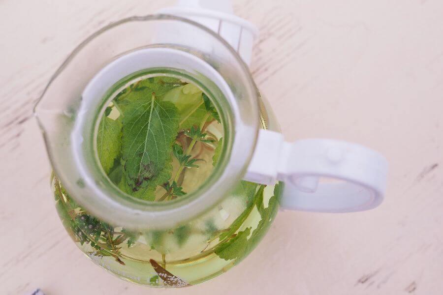 洞爺湖ハーバルランチ16