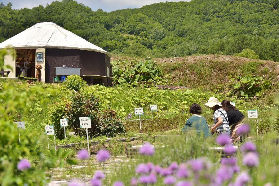 洞爺湖ハーバルランチ30