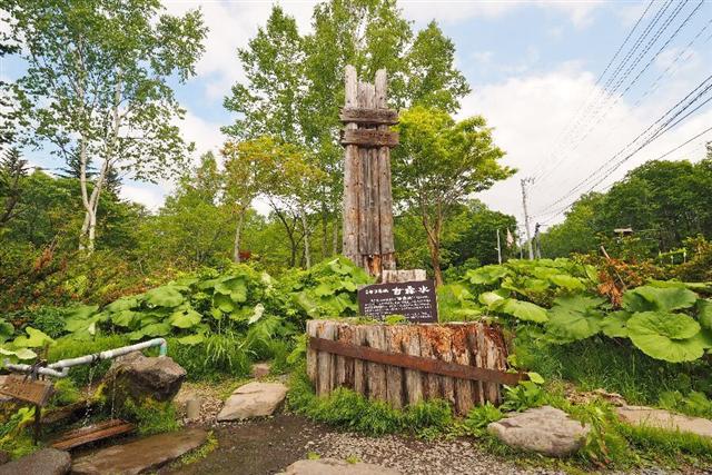 ニセコ甘露水「さかもと公園」4