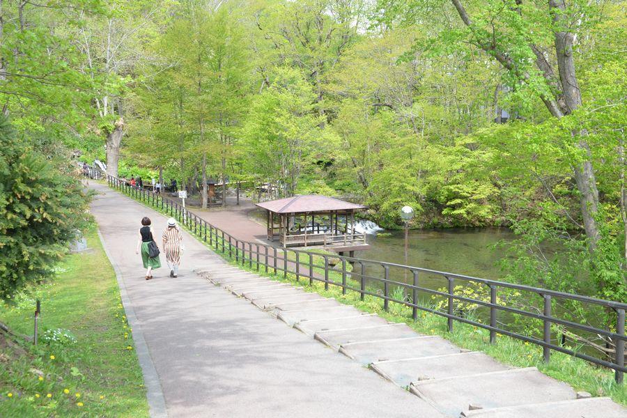 京極湧水体験1-2