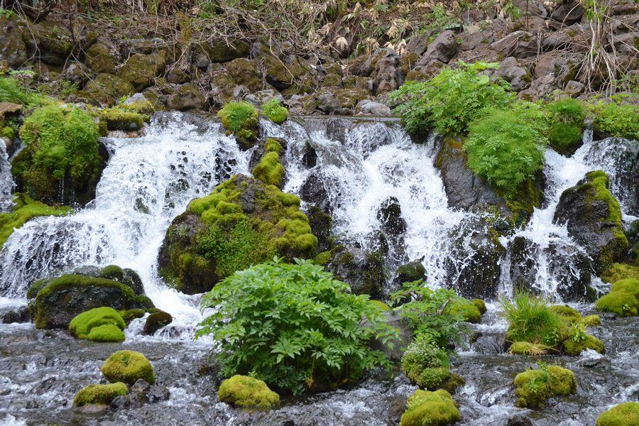 京極湧水体験1-3