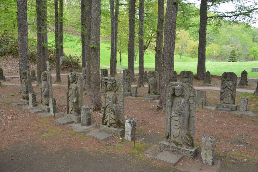 京極湧水体験3-3