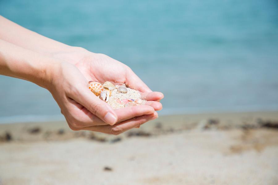 白く美しい砂浜には、小さな貝がたくさん！海水浴場には、トイレ・シャワー・更衣室を併設した休憩棟もあり、海水浴の合間に休むこともできますよ