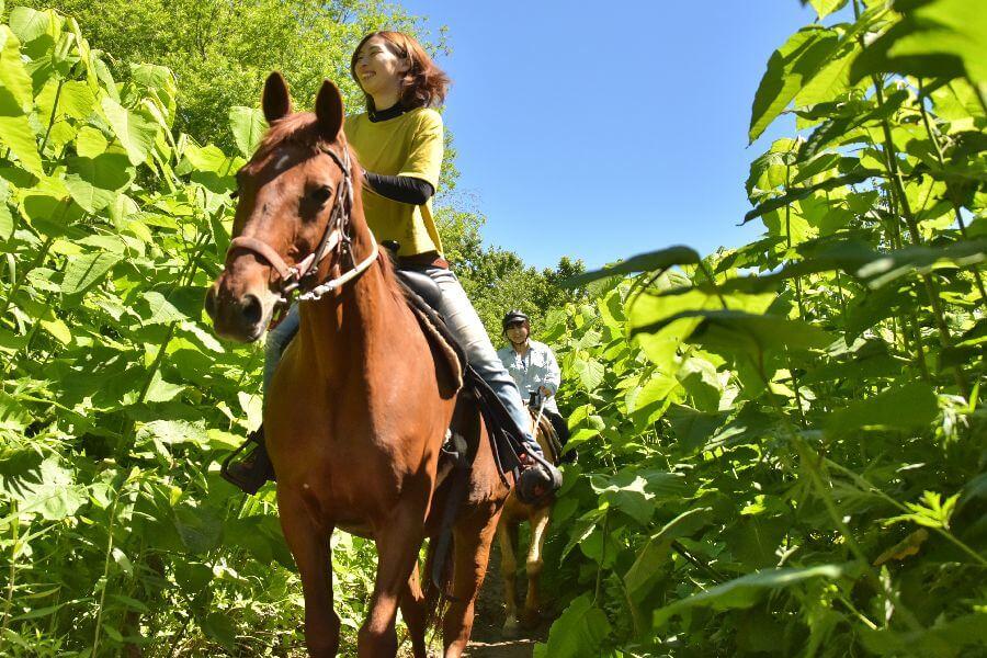 洞爺レークトーヤランチ14