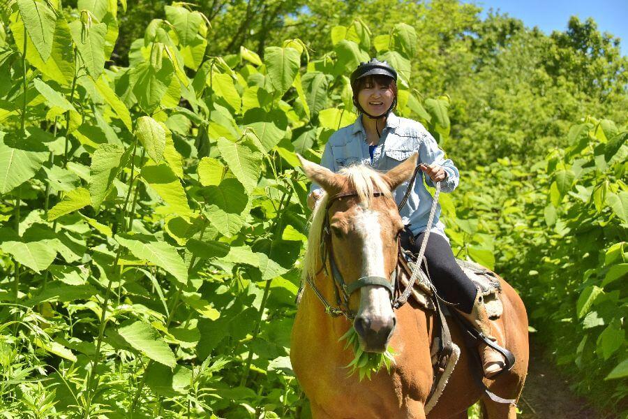 洞爺レークトーヤランチ15