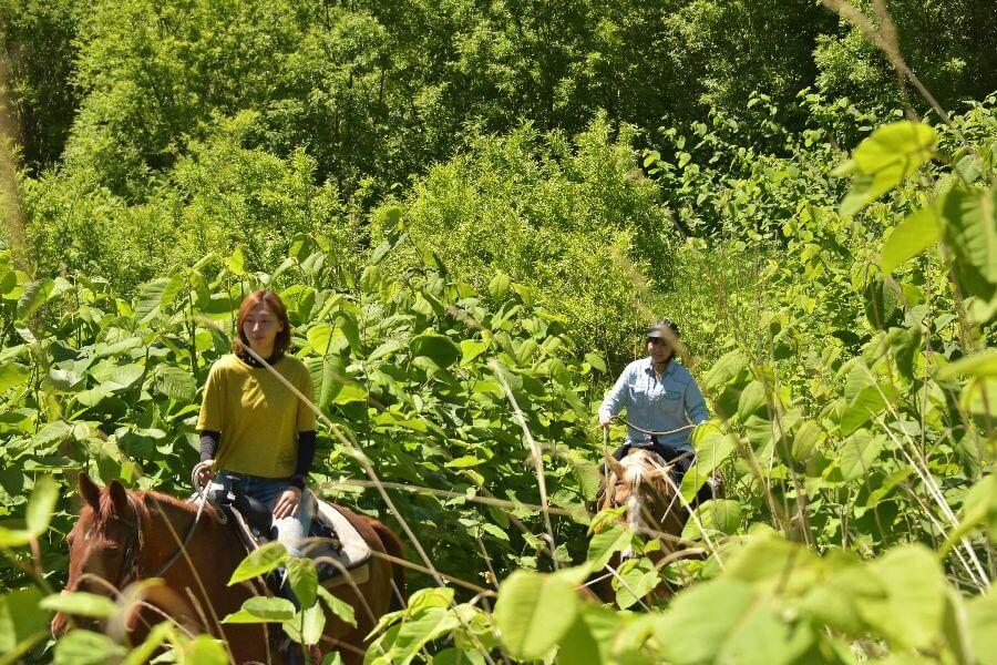 洞爺レークトーヤランチ18