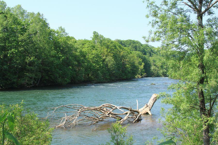 ニセコフットパス3