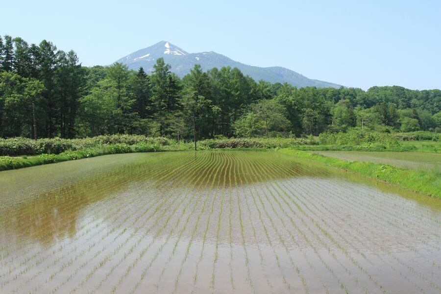 ニセコフットパス4