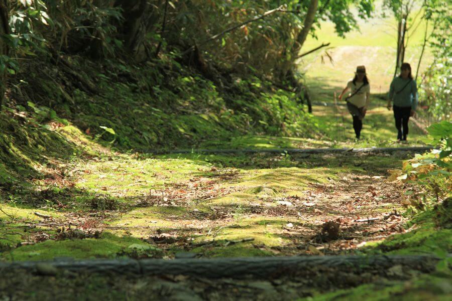 ニセコフットパス6