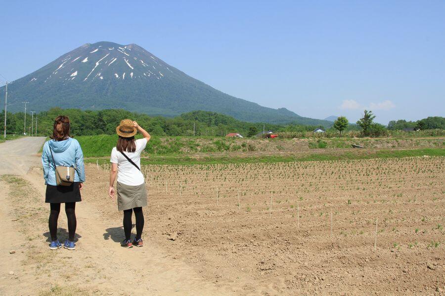 ニセコフットパス7