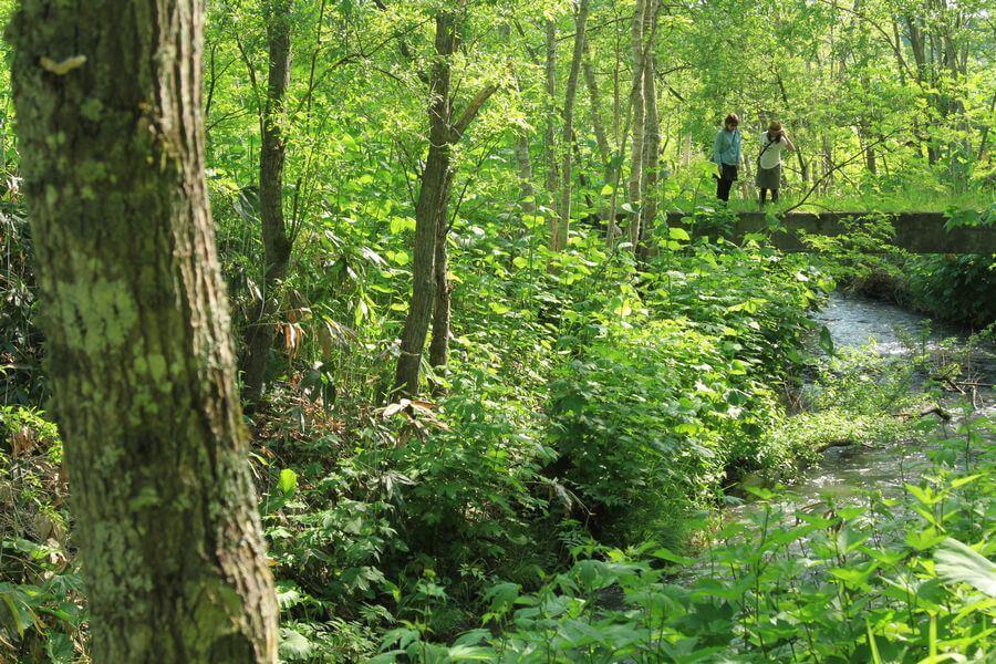 ニセコフットパス11