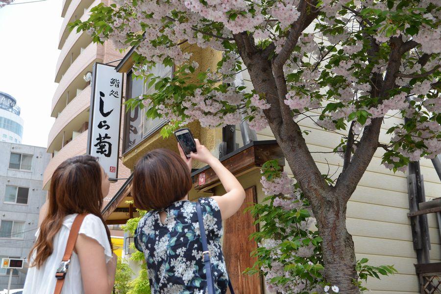 狸小路昼の楽しみ方3-4