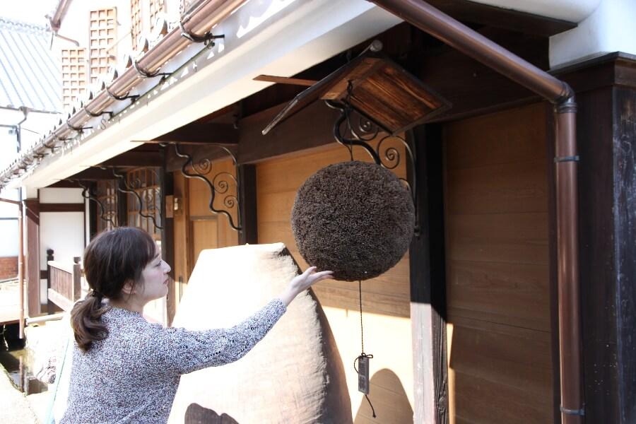 いたる所に新酒を知らせる酒玉。毎年、蔵人たちが手作りしているのだとか